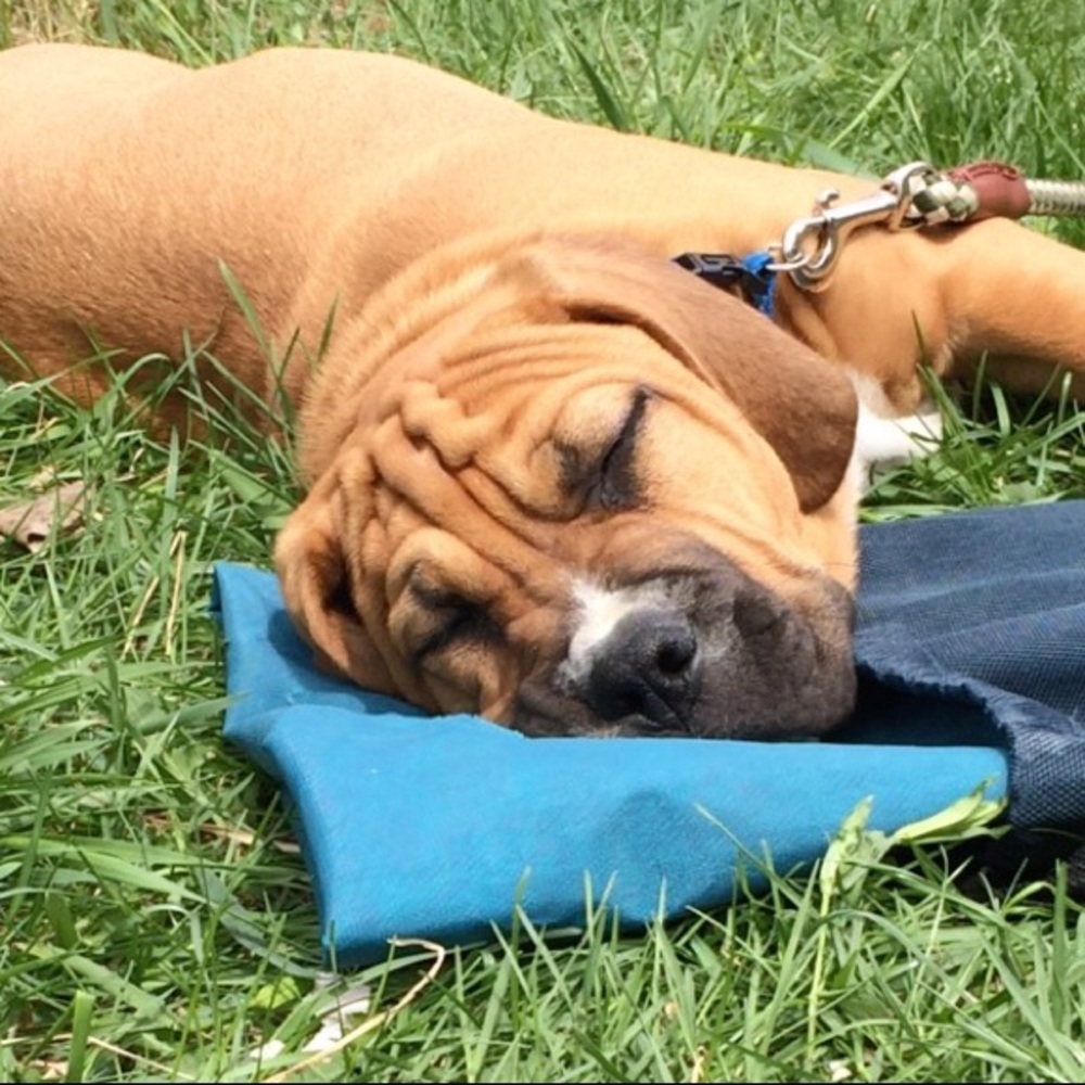 Meet your Posher, Soile